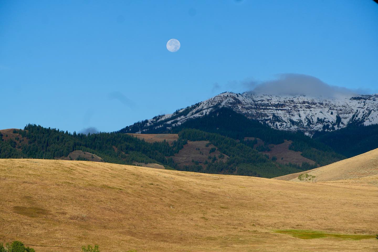 A mountain with a full moon in the sky and a dry grassy field in the foreground