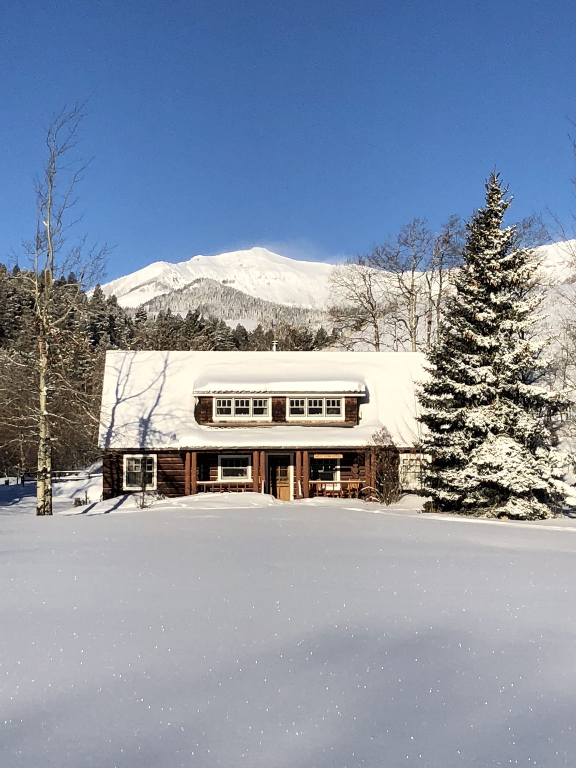 A cabin covered in snow with a tree in front of it.