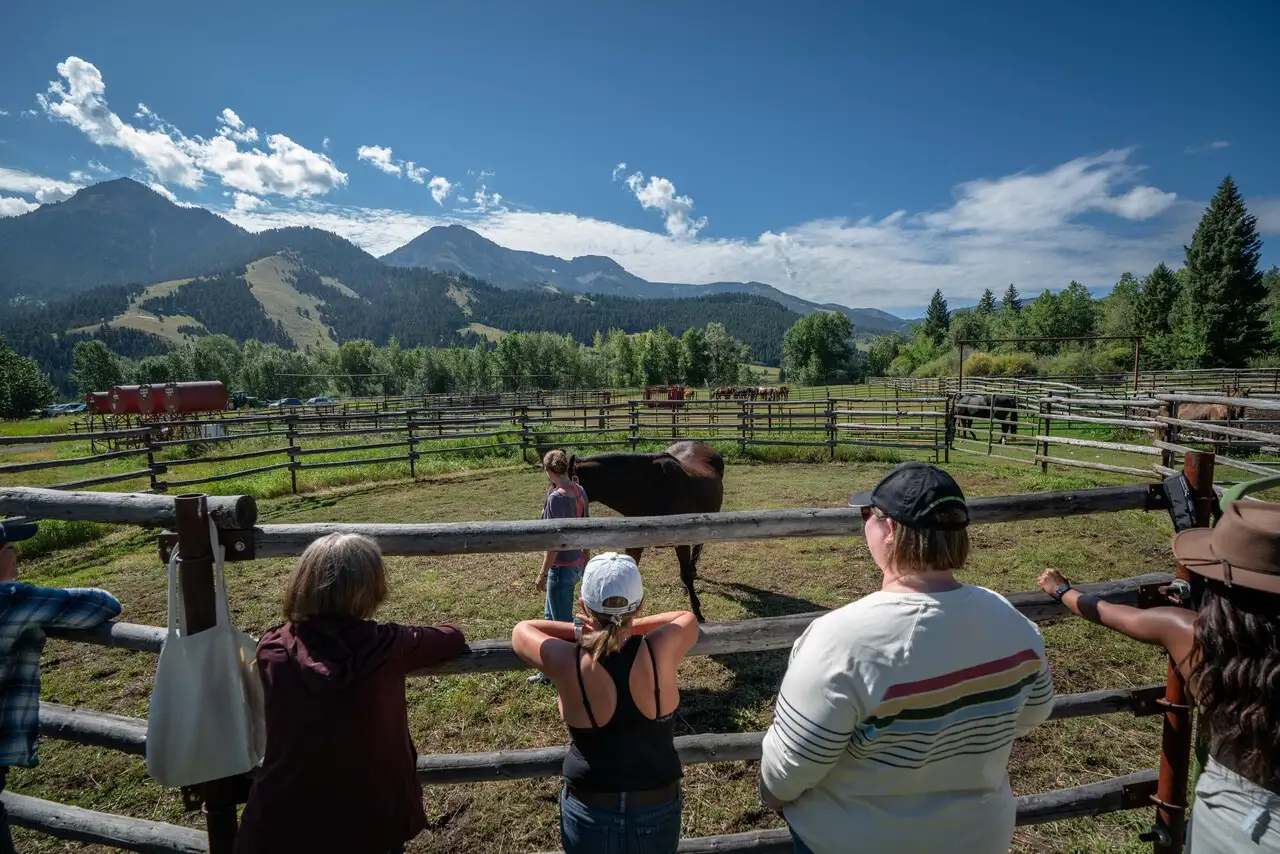 People watching horses in a corral