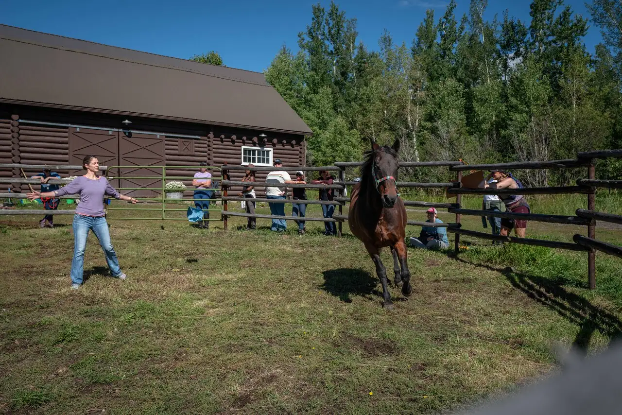 A group of people are watching a horse run around a corral