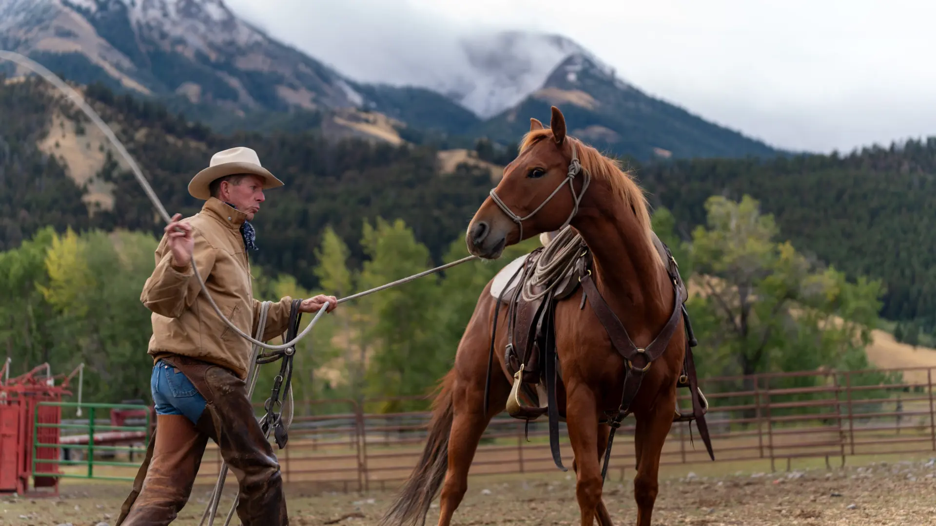 A man holding a horse by the reins in a fenced area