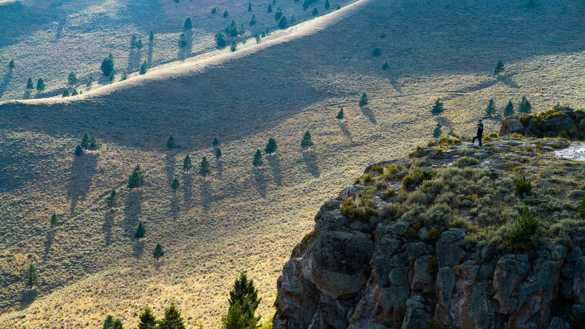 A hill with trees and shadows on it