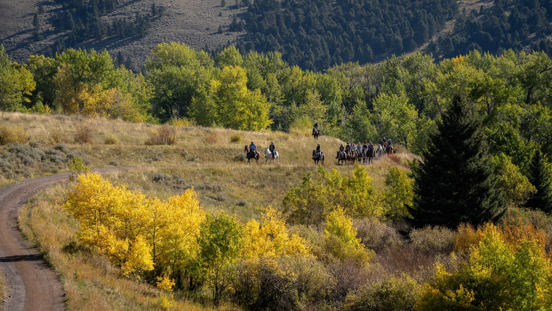 A group of people riding horses on a hillside, surrounded by trees and bushes