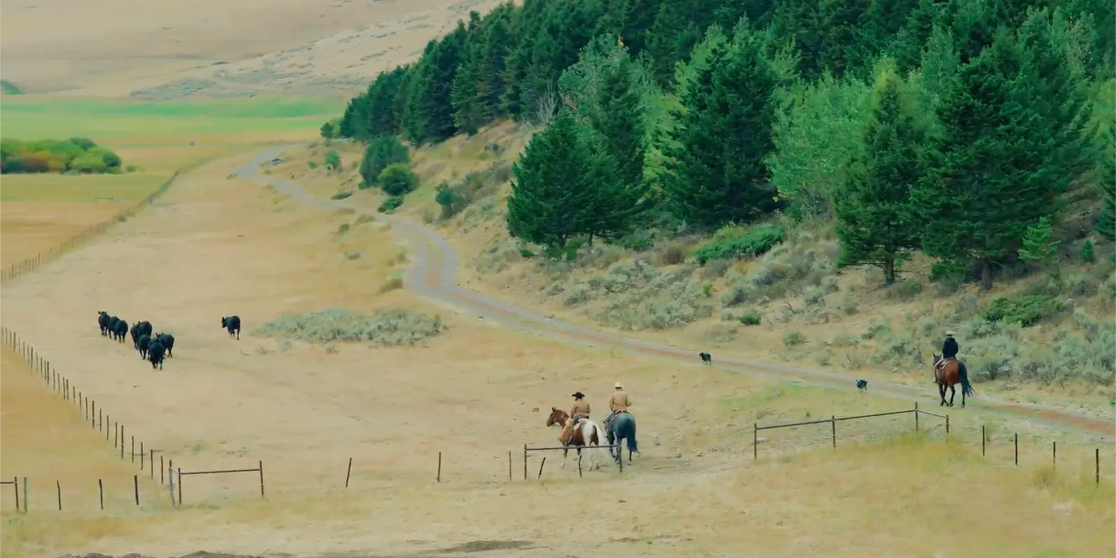 Two people riding horses on a dirt road