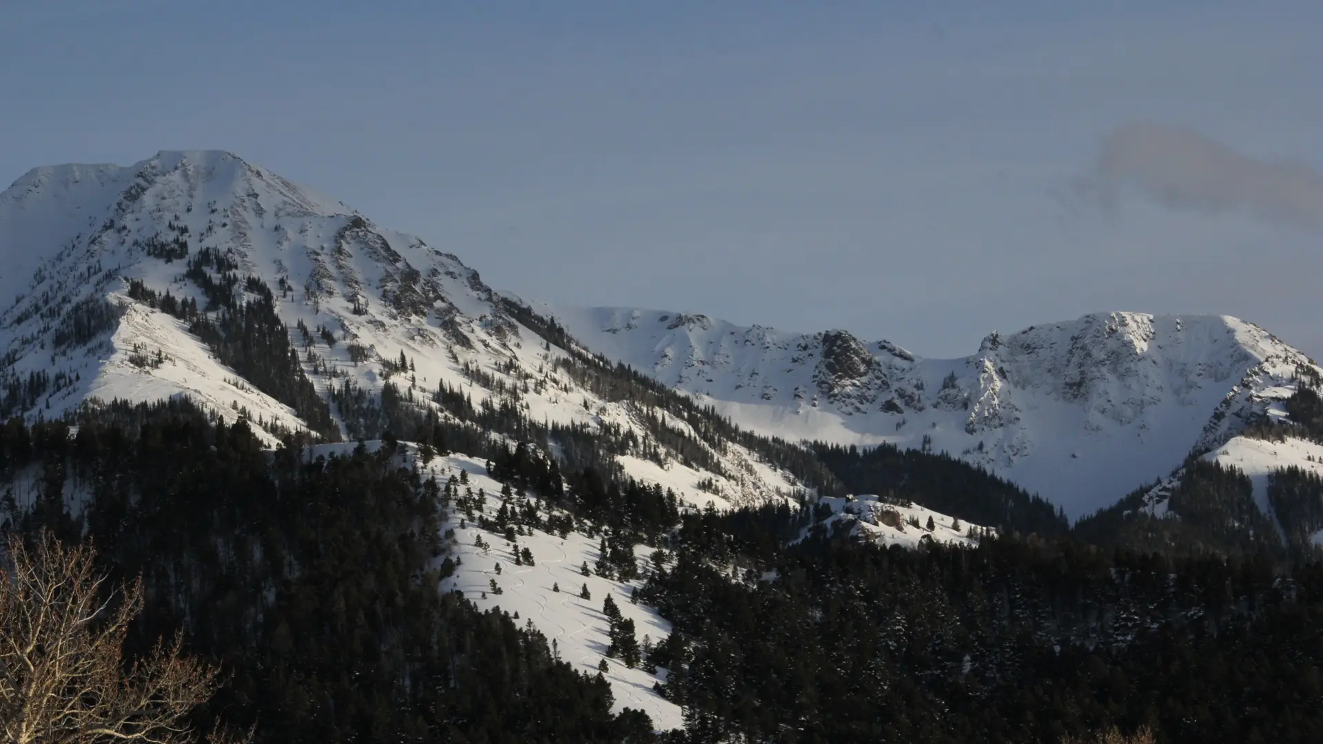 Snowy mountain with trees and a clear blue sky