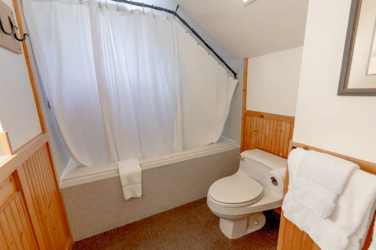 A small bathroom with a toilet and a bathtub