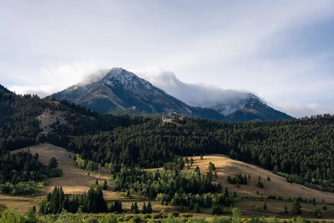 A mountain range with a cloudy sky and a forest of trees in the foreground. The mountain is covered in snow, and the valley below is lush and green