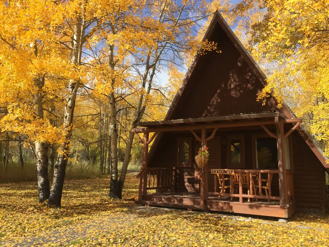 A wooden cabin with a triangular roof, surrounded by trees and leaves. The cabin has a deck with a dining table and chairs