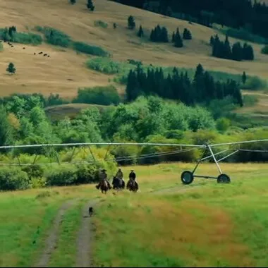 People riding horses in a field with a dog following them