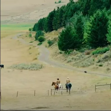 Two people on horses in a field