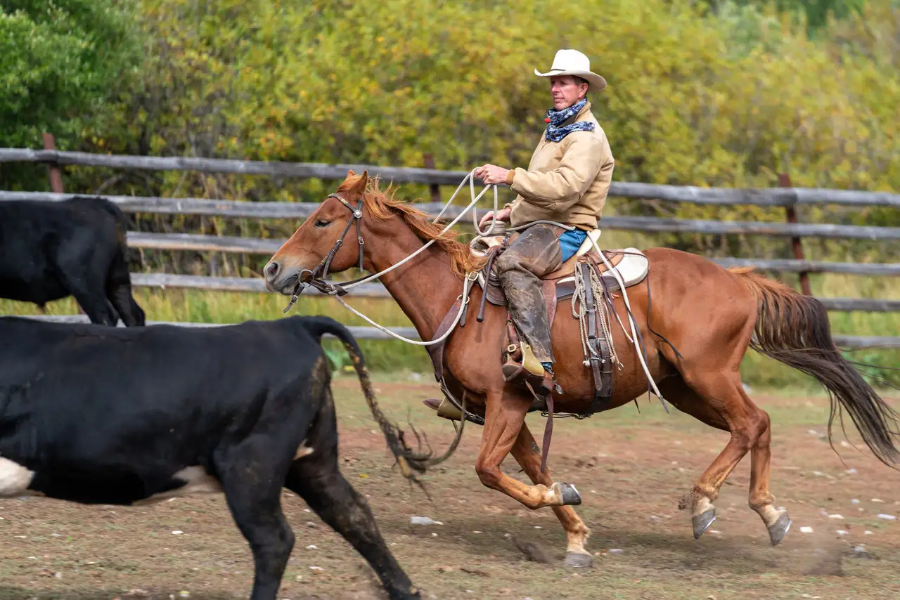 A man on a horse with another horse running behind him