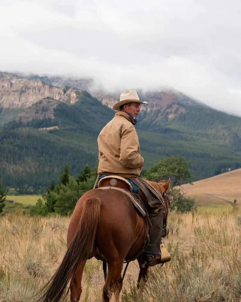 A man riding a horse in a field with mountains in the background