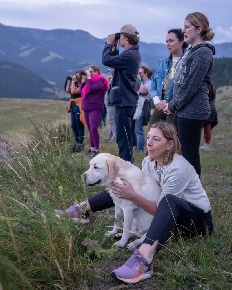 A woman and her dog are sitting on the grass with a group of people looking at something in the distance