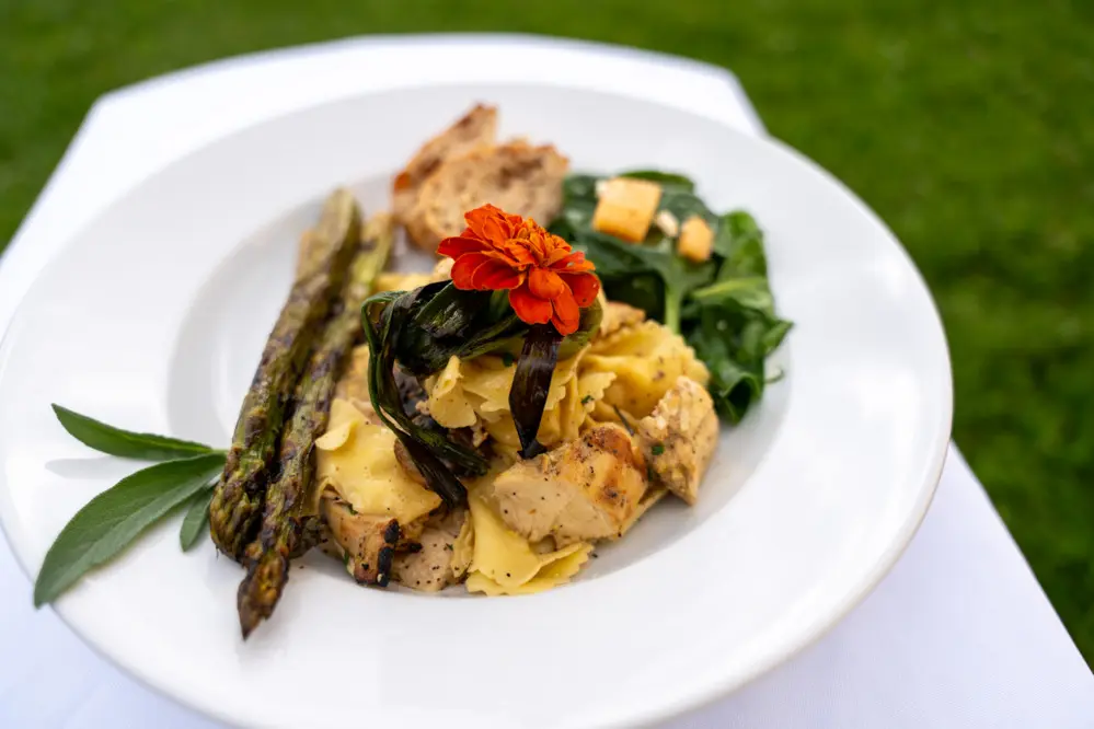 A plate of food with pasta, chicken, greens, and a flower garnish