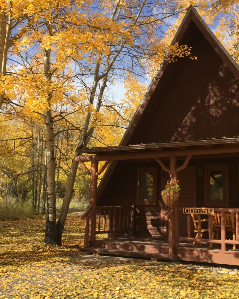 A cabin with a porch and a sign that reads 'Dragonfly'