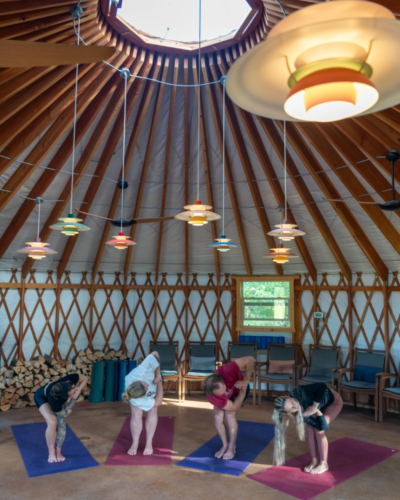 A group of people doing yoga in a dimly lit room with a large white circular ceiling and colorful lights hanging from it