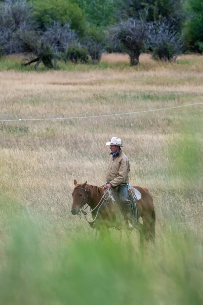 A man riding a horse in a field