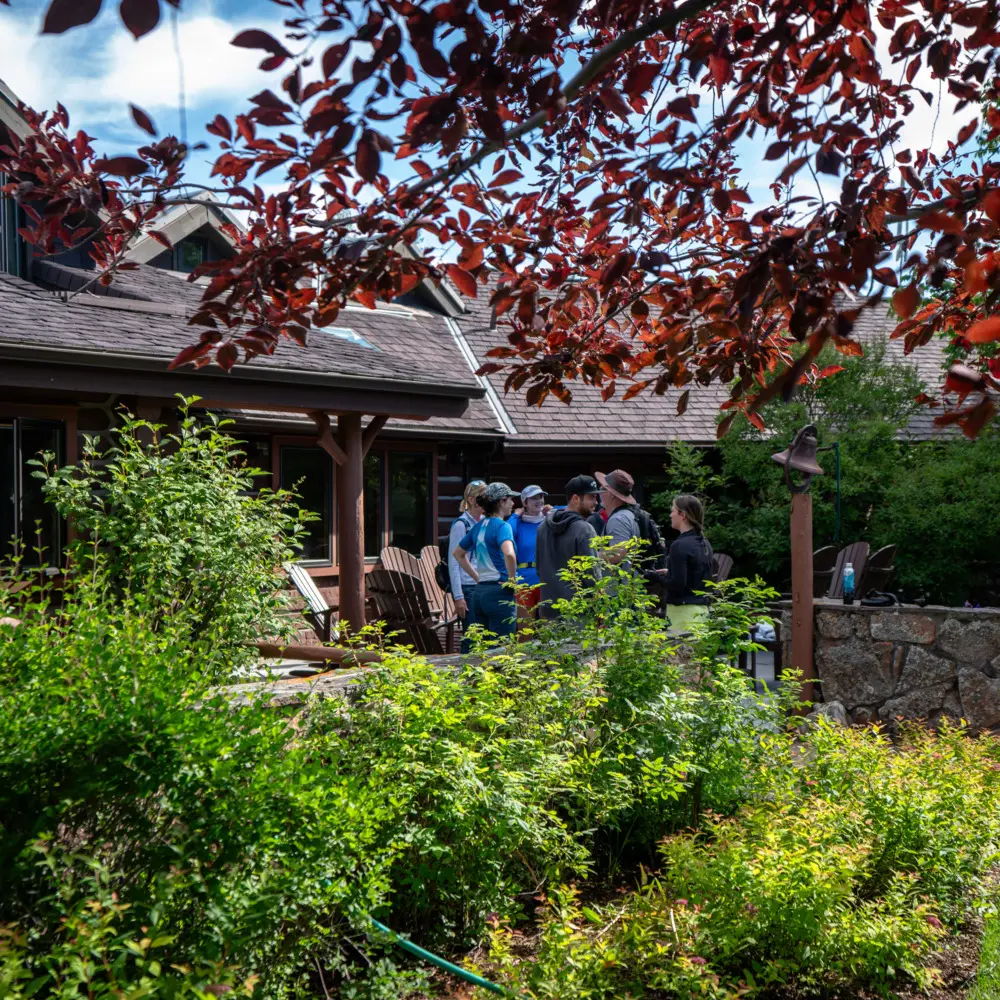 A group of people standing outside of a house, under a tree, and near a fence