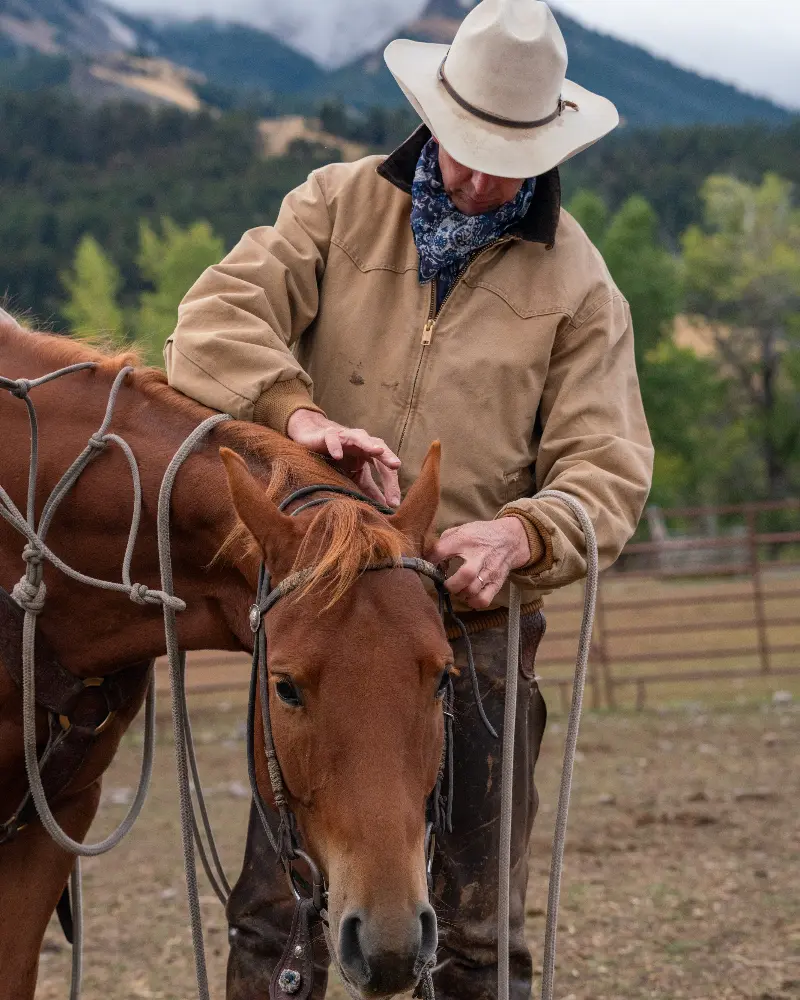 An older man with a cowboy hat and a blue scarf is petting a brown horse's face, showing affection and care for the animal