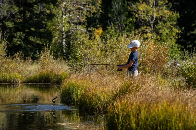 A boy fishing in a pond