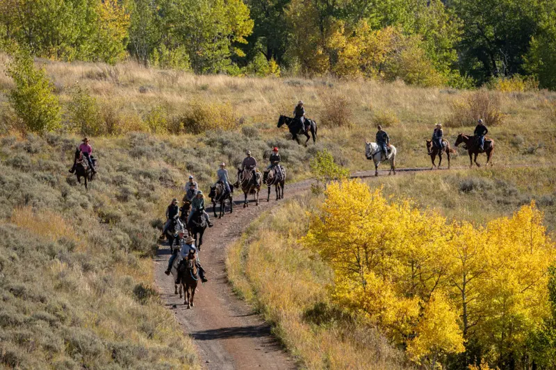 A group of people riding horses down a dirt road