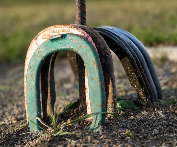 A rusted horseshoe with a metal ring attached to it, sitting in a patch of dirt with a green plant growing nearby