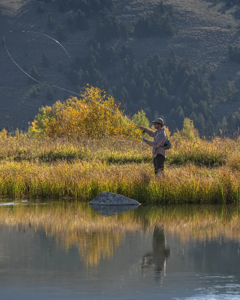 A man is fishing in a pond in a field with tall grass and trees in the background