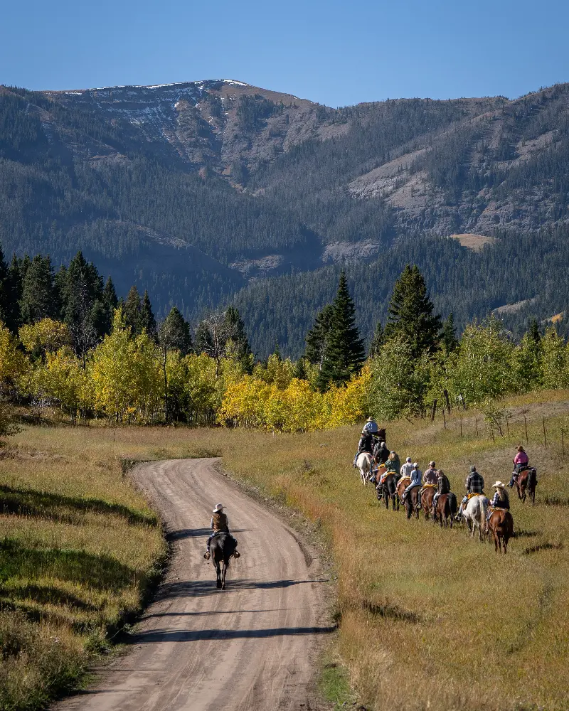 A group of people riding horses on a dirt road in a mountainous area