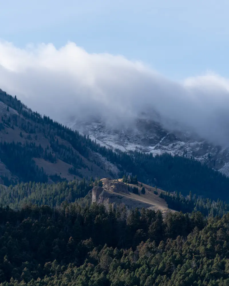 A mountain landscape with a valley and a forest under a cloudy sky