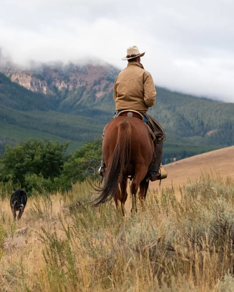 A man riding a horse in a field