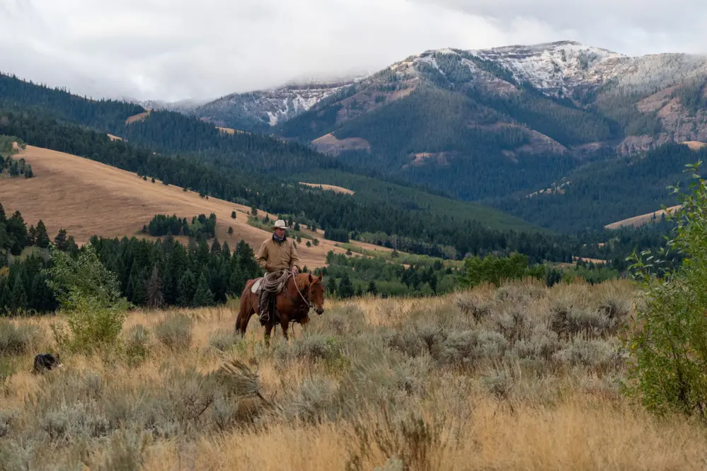 A man riding a horse in a field with mountains in the background