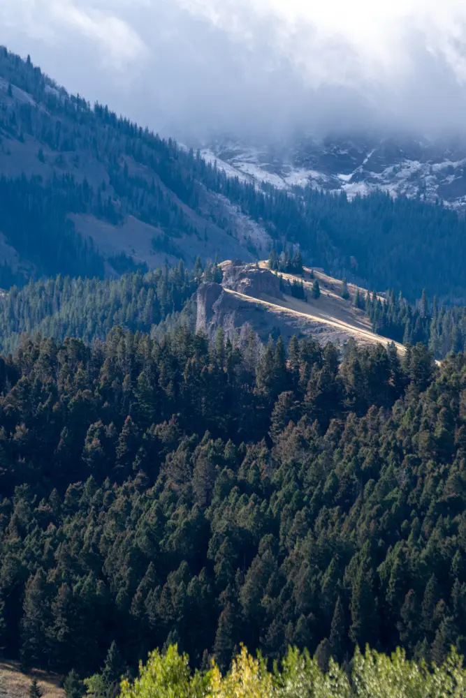 A snowy mountain with a forest of trees and a valley in the foreground