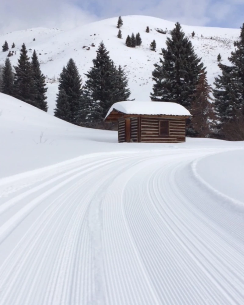 A snowy path with a cabin in the background and trees on the side