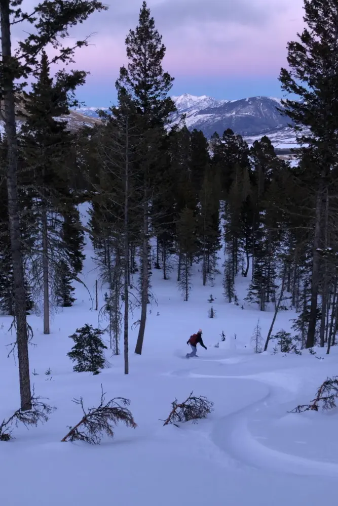 A skier in a red jacket skiing down a snowy mountain slope