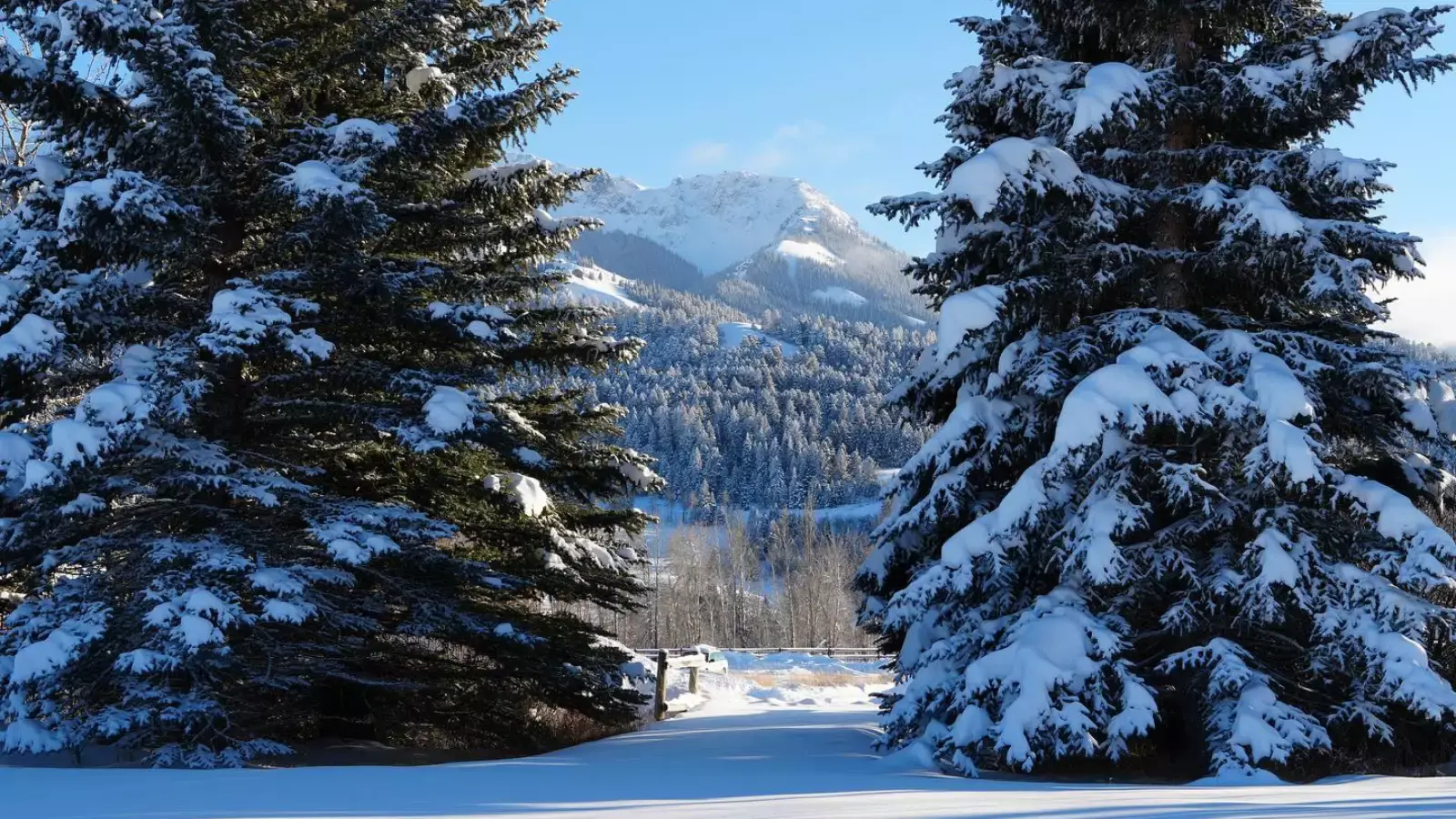 Snowy mountain range with trees and a car in the foreground