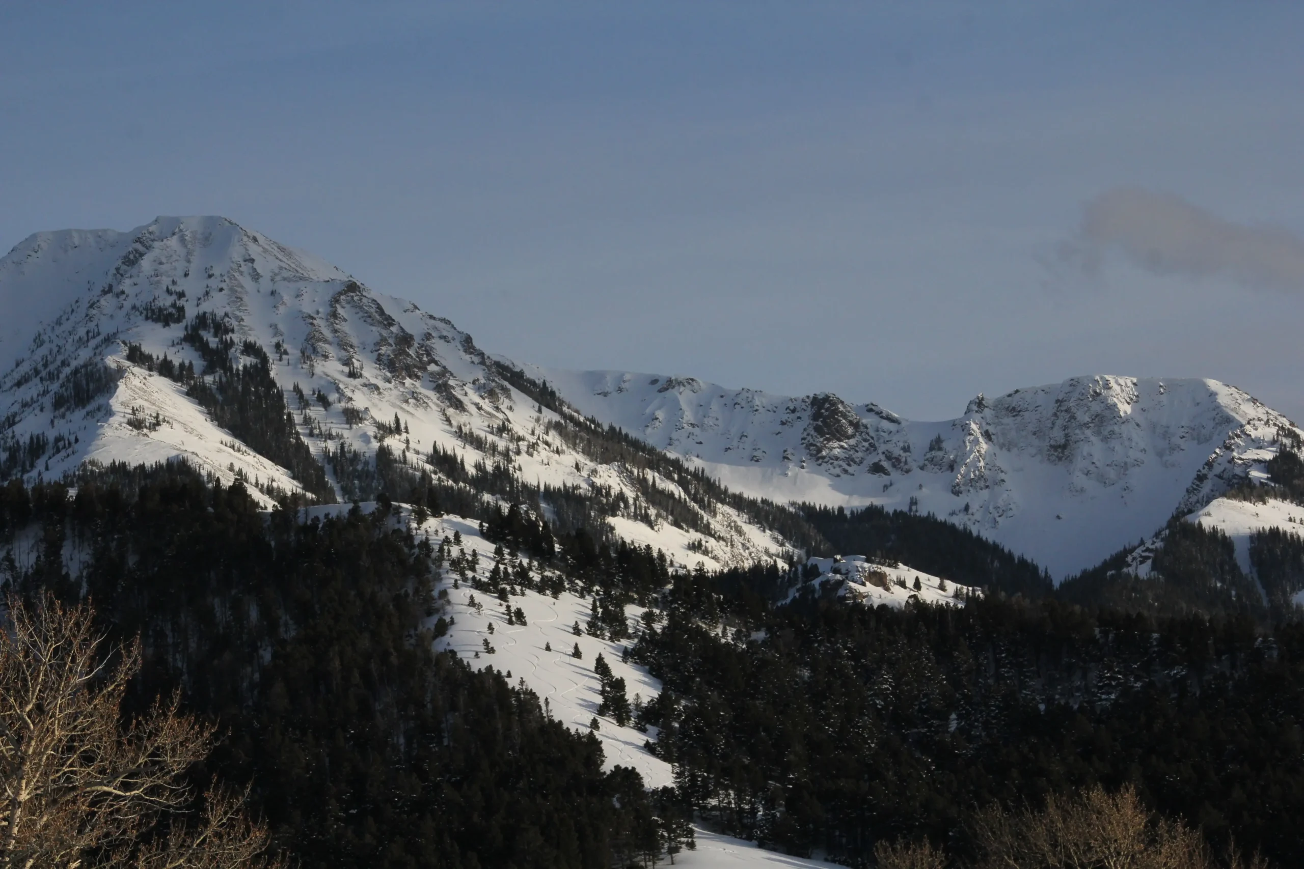 Snowy mountain with trees in the foreground.