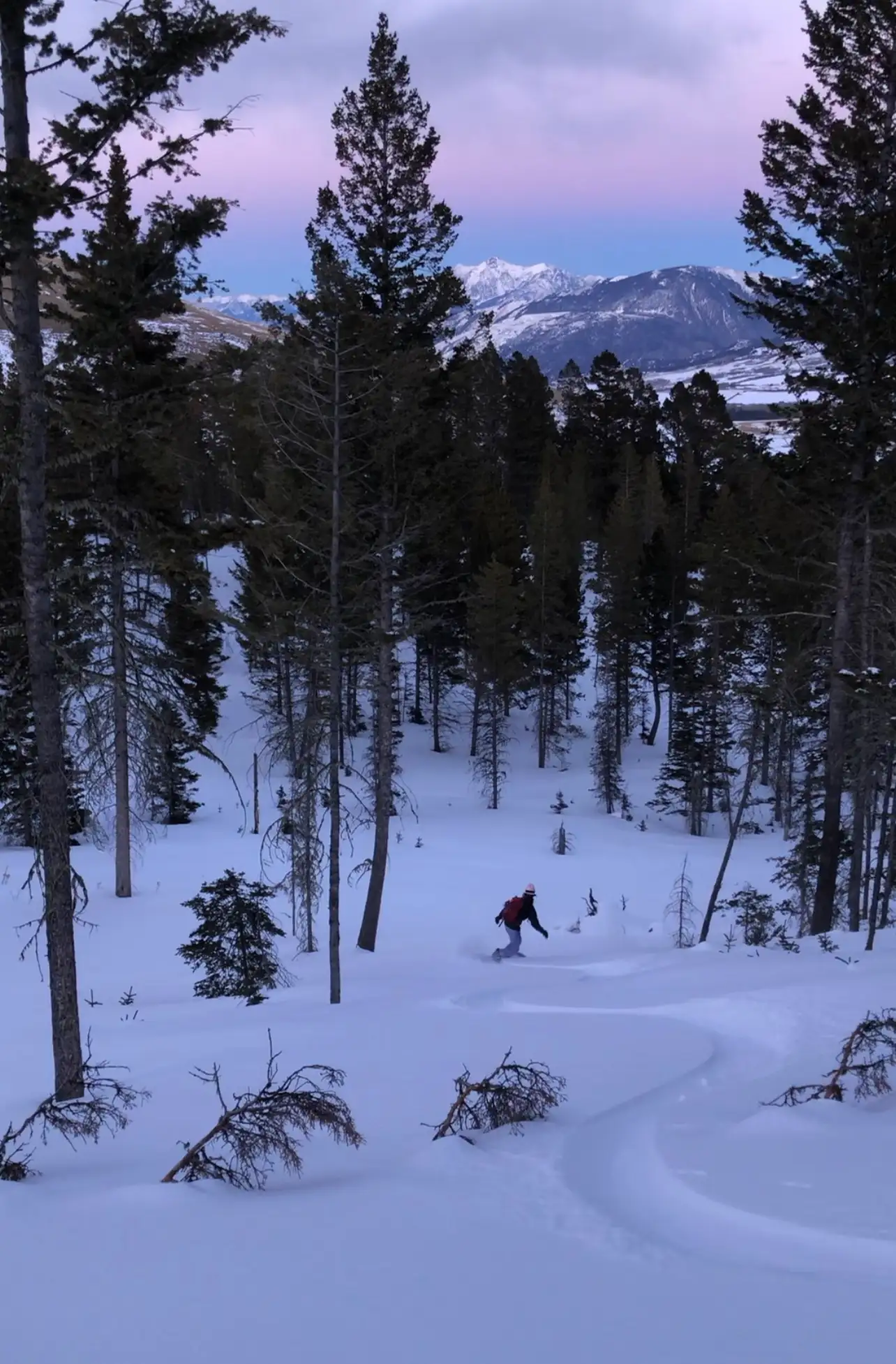 A skier in a forest on a snowy slope.