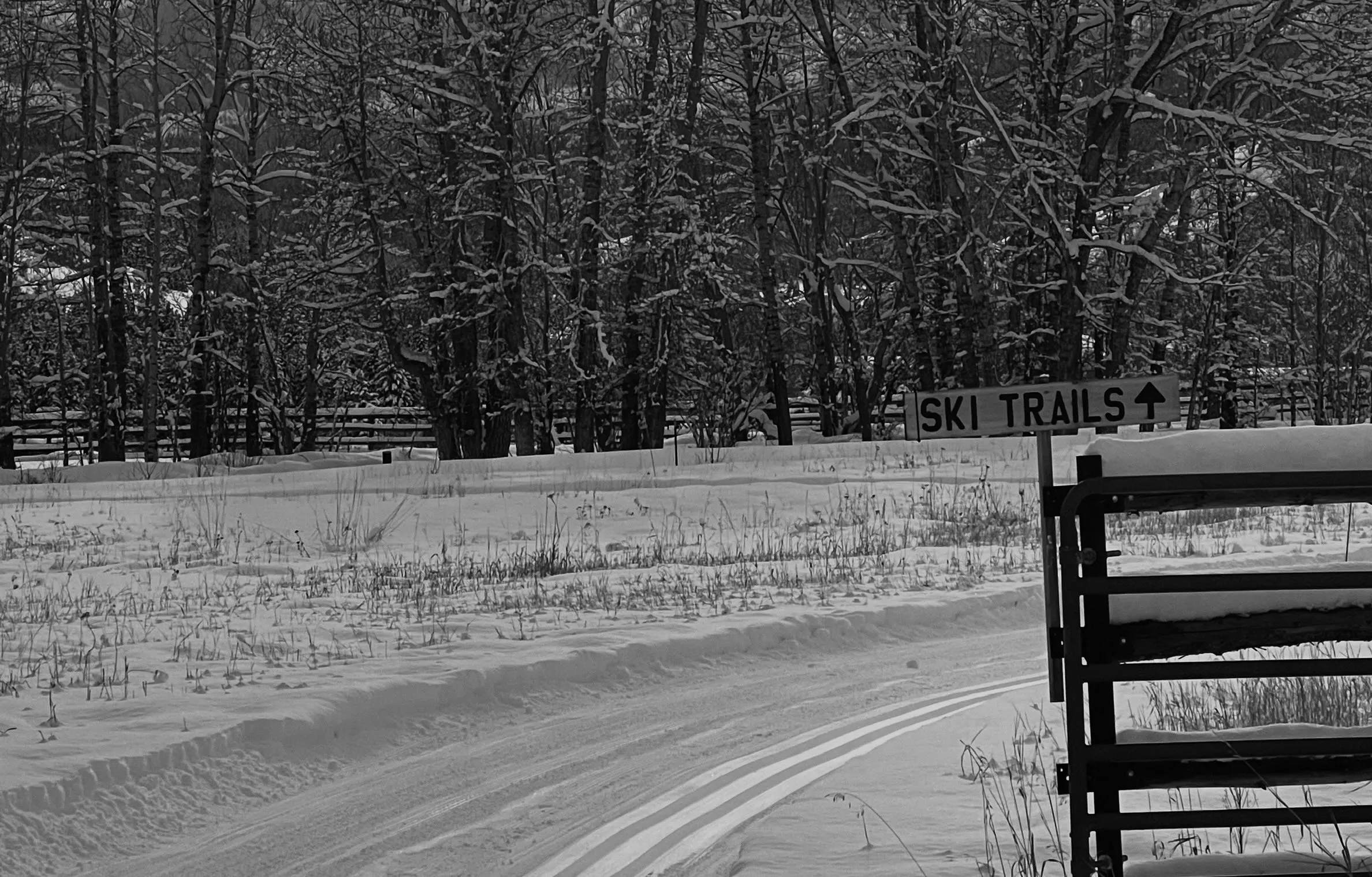 A snowy road with a ski trail sign.