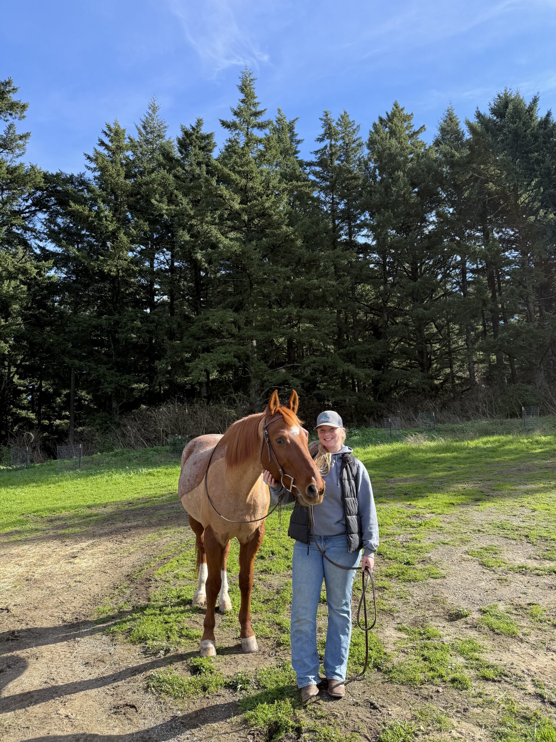 Smiling person in a cap and puffy vest standing beside a chestnut roan horse in a grassy field edged by tall evergreens.